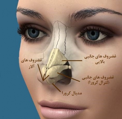 بهترین روش‌های کاهش ورم بعد از عمل بینی